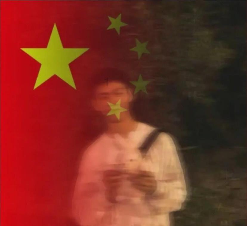 可爱的小考拉